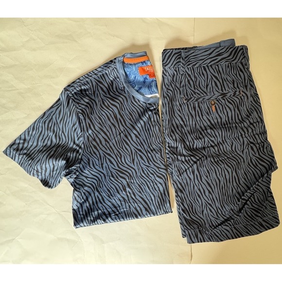 Talia Sport Other - Talia Sport Men's Shorts And Shirt Set Size 30 Short And Small